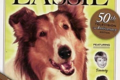 Lassie