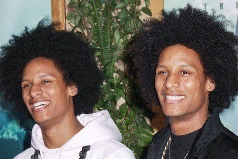 Les Twins