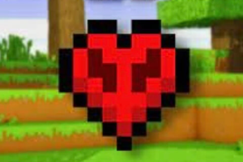 Lifesteal SMP