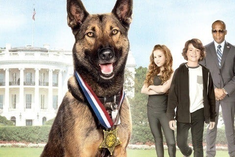 Max 2: White House Hero