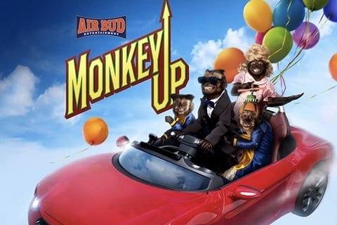 Monkey Up