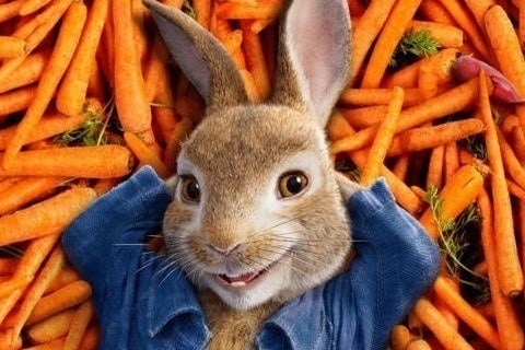 Peter Rabbit