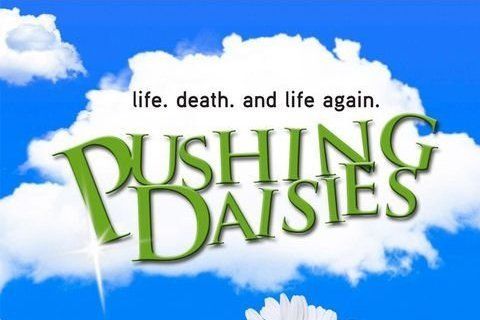 Pushing Daisies