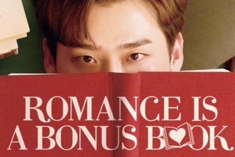 Romance Is a Bonus Book