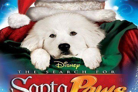 The Search for Santa Paws