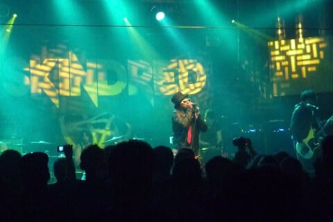 Skindred