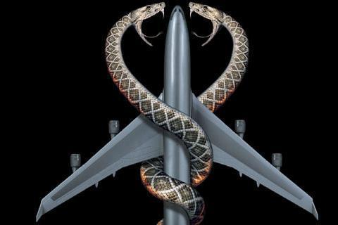 Snakes on a Plane