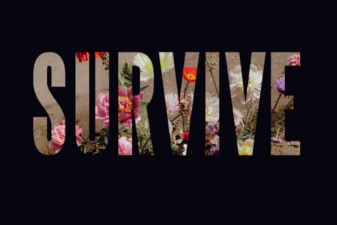 Survive