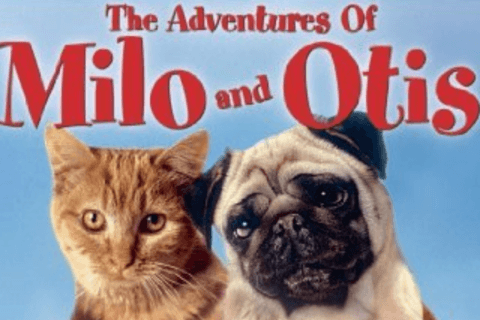 The Adventures of Milo and Otis