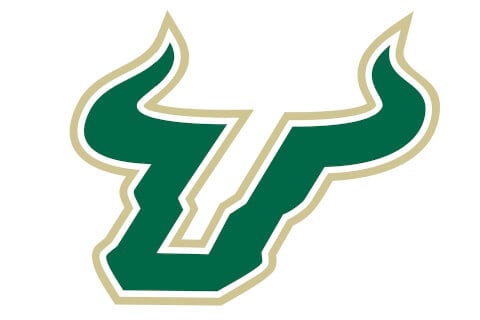 University of South Florida