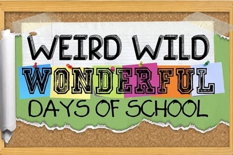 Weird Wild Wonderful Days of School