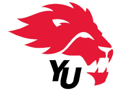 York University