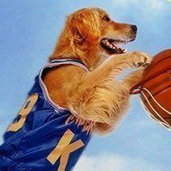 Air Bud