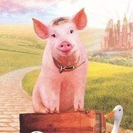 Babe: Pig in the City