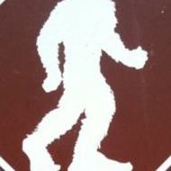 Bigfoot