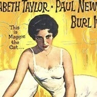 Cat on a Hot Tin Roof