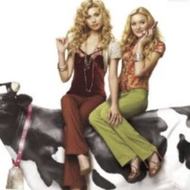 Cow Belles