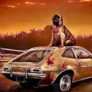 Cujo