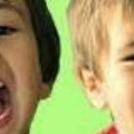 The Adventures of Dani and Evan