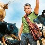 Dog Whisperer with Cesar Millan