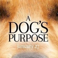 A Dog's Purpose