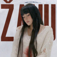 Dzanum