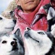 Eight Below