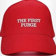 The First Purge