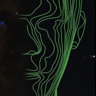 Ghost in the Machine