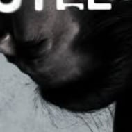 Hostel: Part II