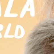 Izzy Bee's Koala World