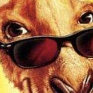 Kangaroo Jack