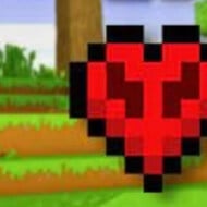 Lifesteal SMP