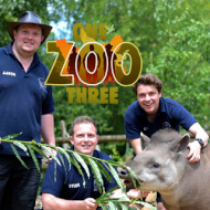 One Zoo Three