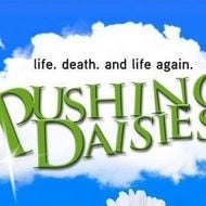 Pushing Daisies