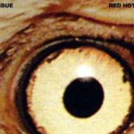 Scar Tissue