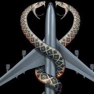 Snakes on a Plane