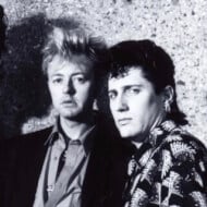 Stray Cats