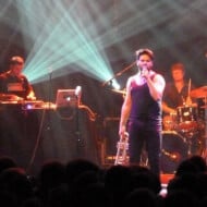 The Cat Empire
