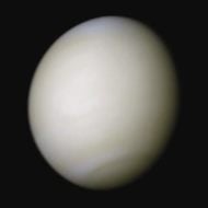 Venus