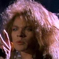 Welcome to the Jungle