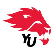 York University