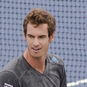 Andy Murray Headshot 7 of 7