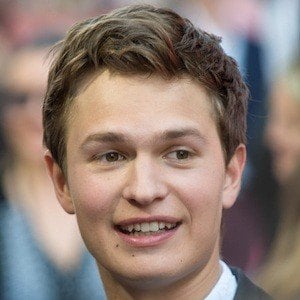 Ansel Elgort at age 23