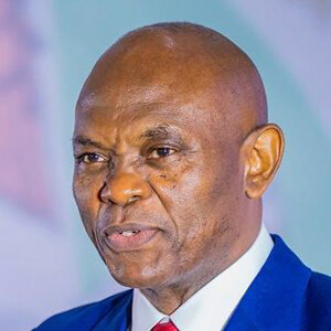 Anthony Onyemaechi Elumelu Headshot 5 of 6