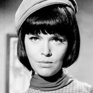 Barbara Feldon Headshot 4 of 7