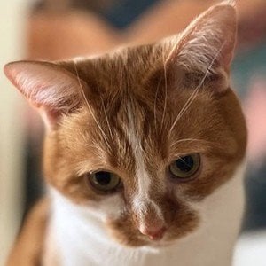 Bean beautynthebean Headshot 6 of 10