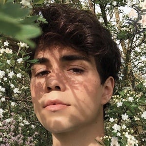 Benji Krol at age 19