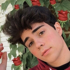 Benji Krol at age 18