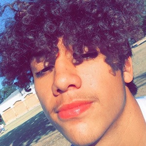 Bruh.itz_joel - Age, Family, Bio | Famous Birthdays